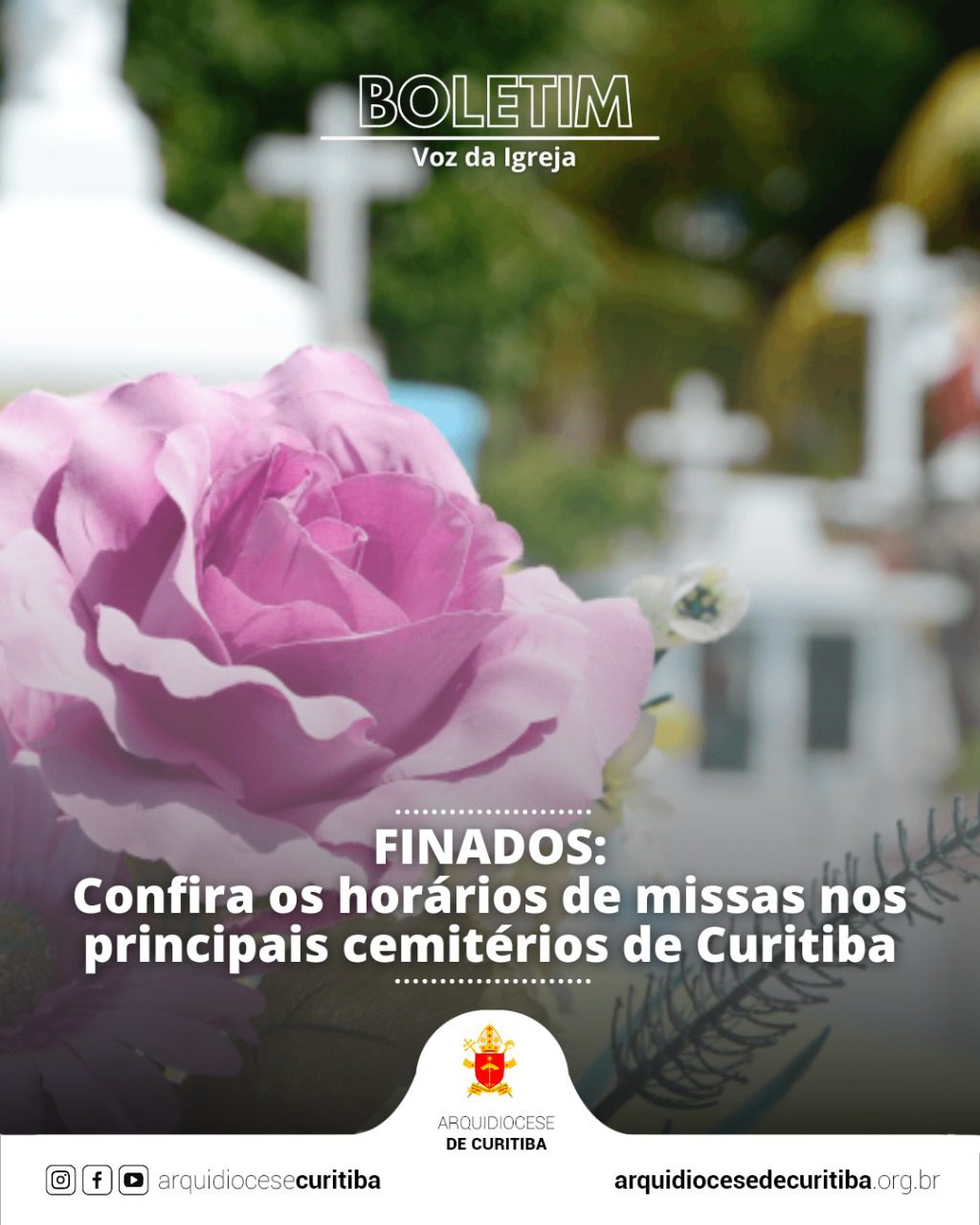 Boletim 28 de outubro