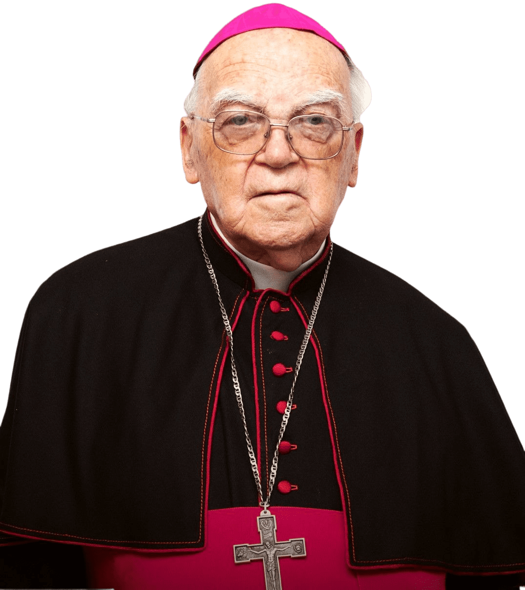 Pedro Antônio Marchetti Fedalto